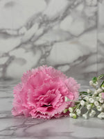 Pink flower and white baby's breath on a marble background